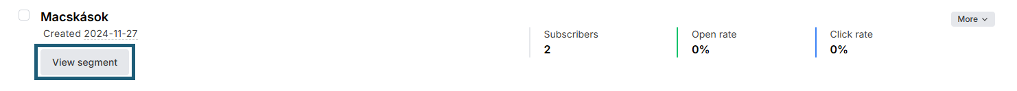 MailerLite- Segments