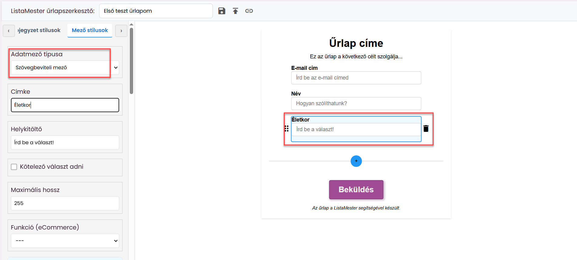 Űrlapok - Űrlapvarázsló - Adatmezők leírása - email, név mezők