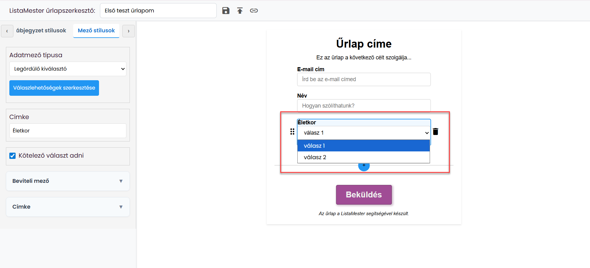Űrlapok - Űrlapvarázsló - Adatmezők leírása - email, név mezők