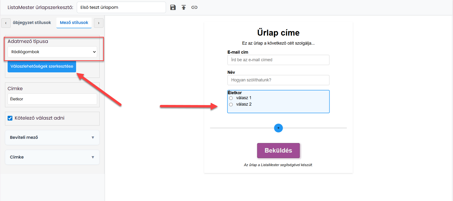 Űrlapok - Űrlapvarázsló - Adatmezők leírása - email, név mezők