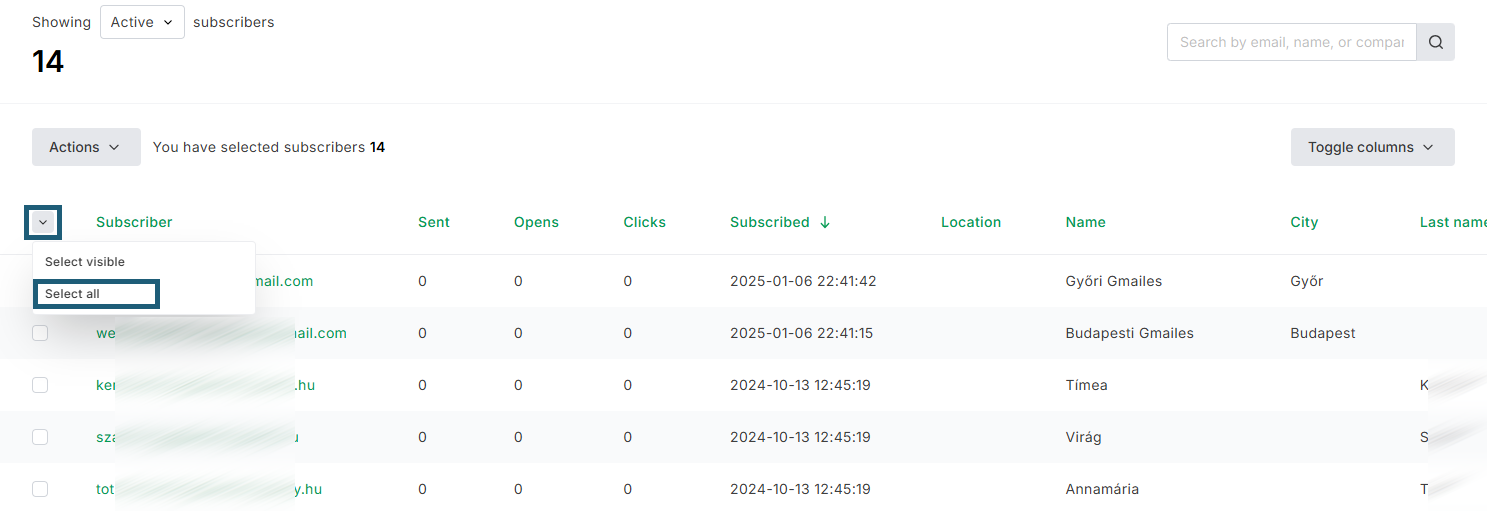 MailerLite- Select all subscribers